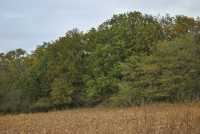 /album/kurta-kratina-pr/marcel-3-108-jpg1/